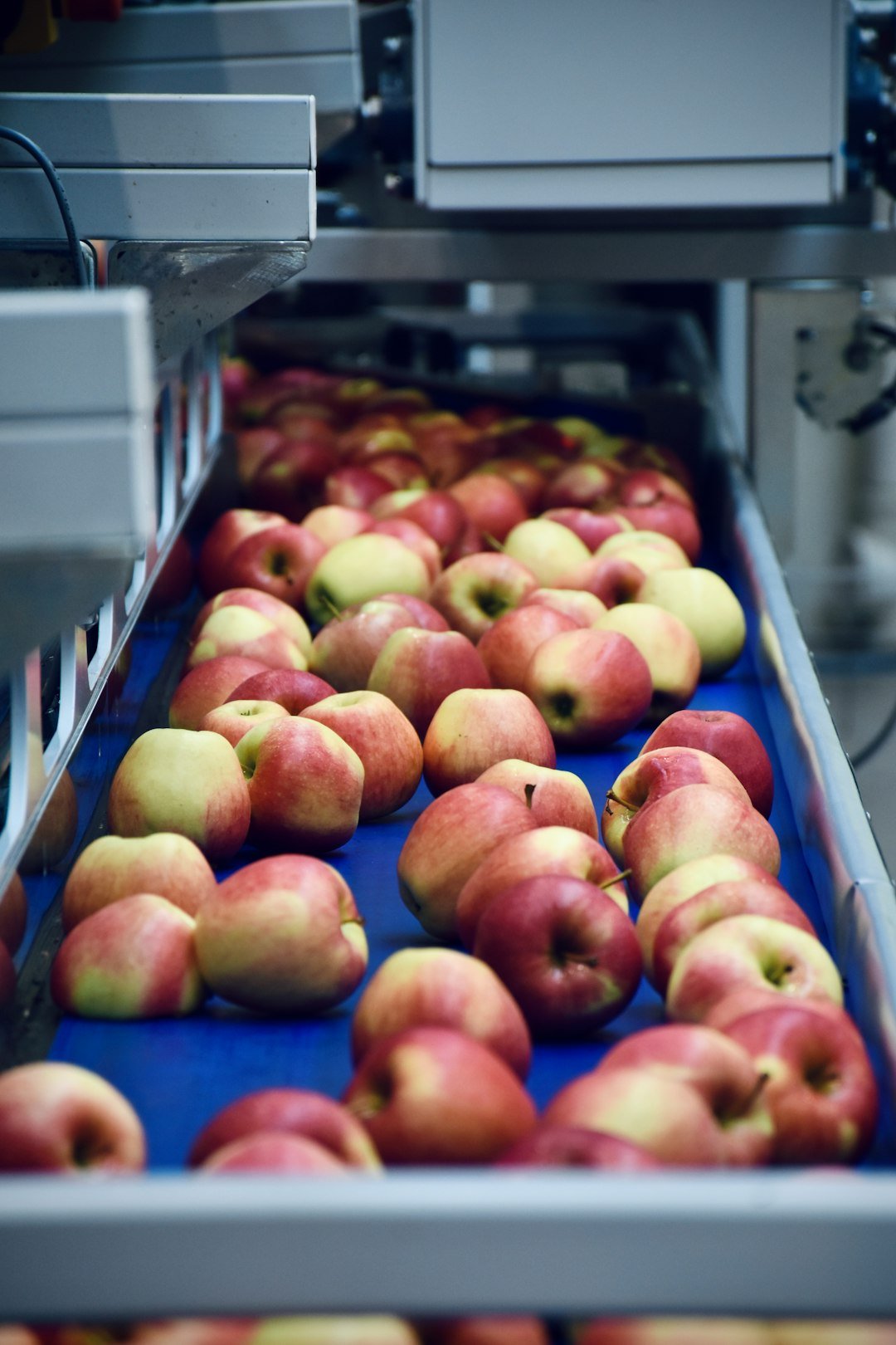 Inside an apple processing company in northern Italy